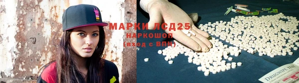 мдпв Верея