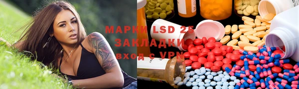 мдпв Верея