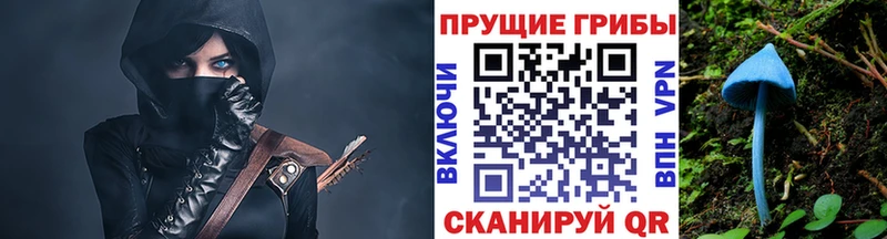 Галлюциногенные грибы Psilocybe  Ростов 
